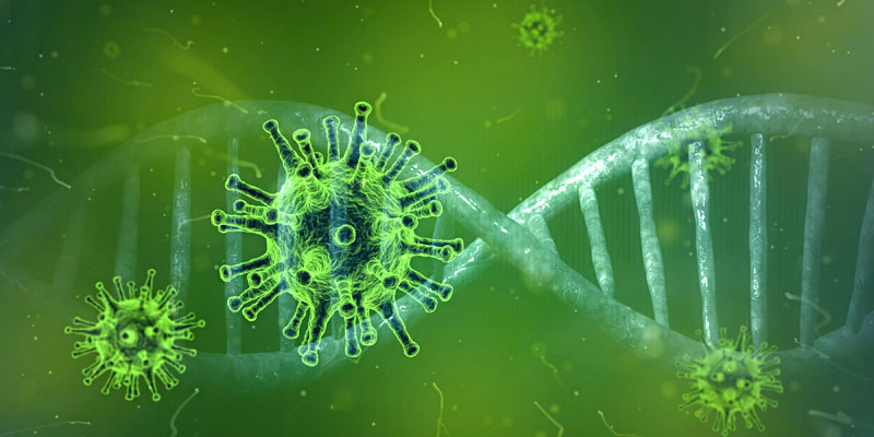 coronavirus 4833754 235